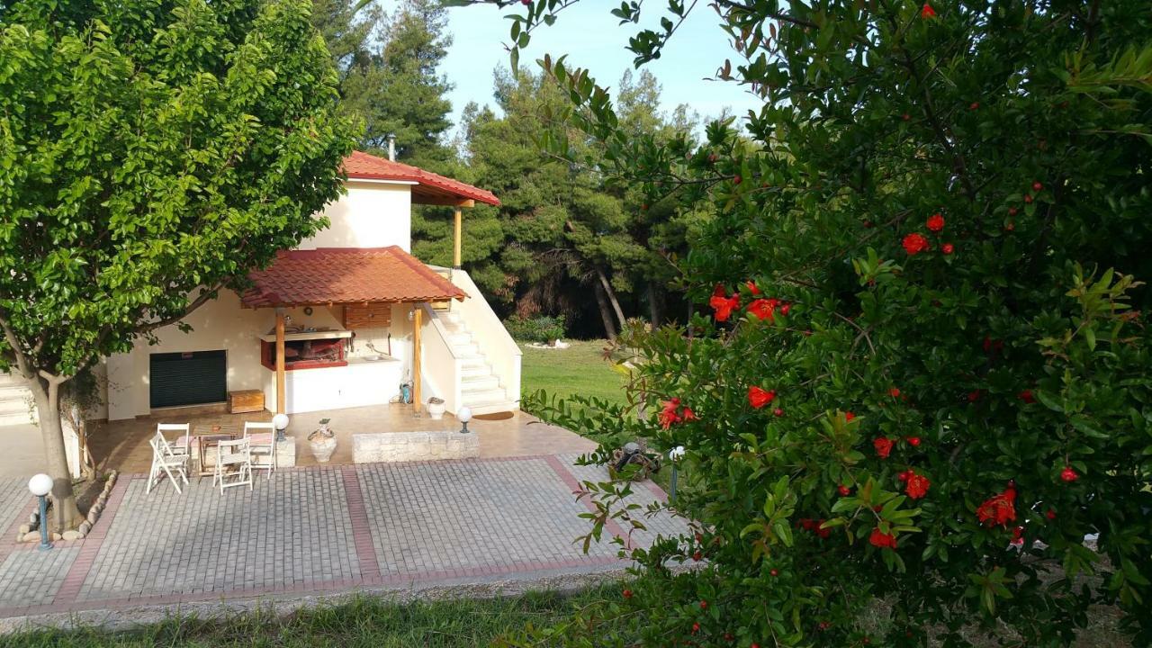 Villa Chris โพสซิดี ภายนอก รูปภาพ